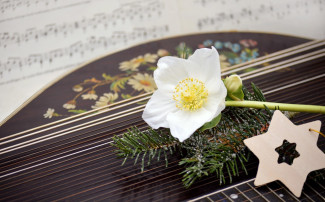 Barockkonzert "Der Heiland ist geboren"